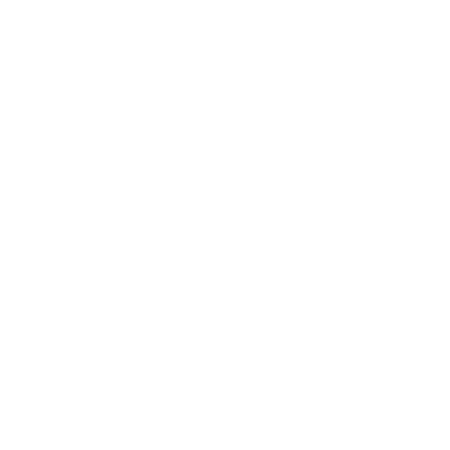 Mg stovyklos logo